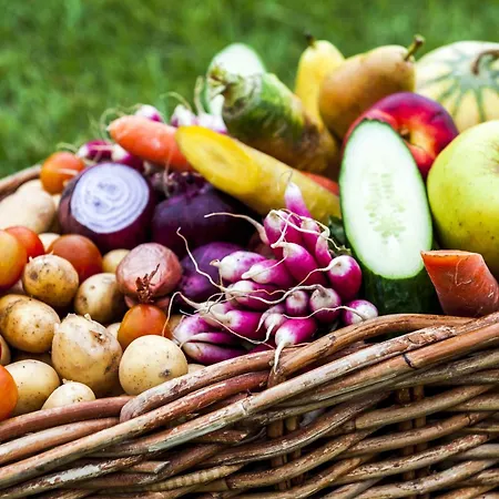 Brit Toulouse - L'esplanade Colomiers