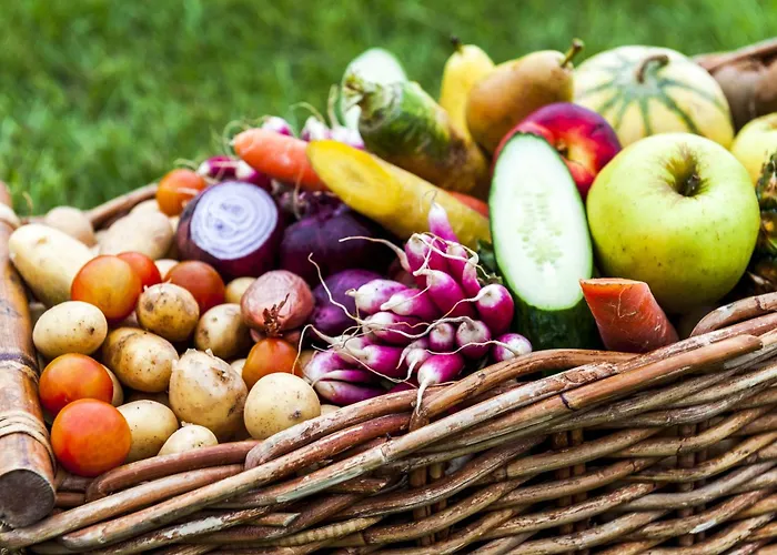 Brit Toulouse - L'esplanade Коломье